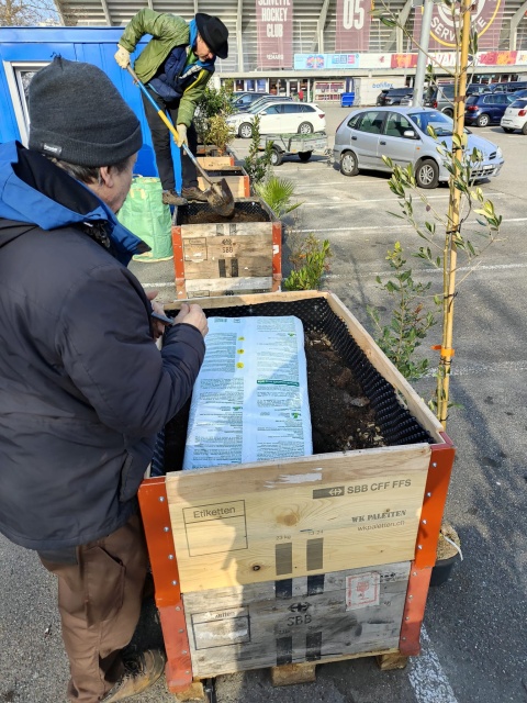 Végétalisation de l'extérieur